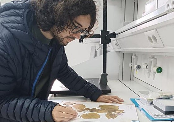 Raúl Orihuela-Rivero, coautor principal de la revisión de las extinciones de especies vegetales en la Macaronesia.