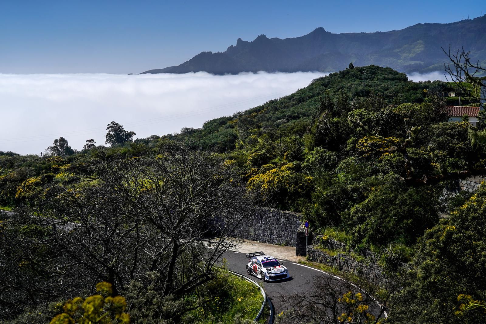La afición y la belleza de Gran Canaria: el Rally Islas Canarias deja imágenes de ensueño