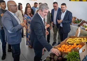 Los ecocomedores escolares son un «éxito» y ya llegan a 24.000 comensales