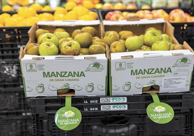 En 2024 se vendieron más de 6.800 kilos de la manzana reineta de Valleseco.
