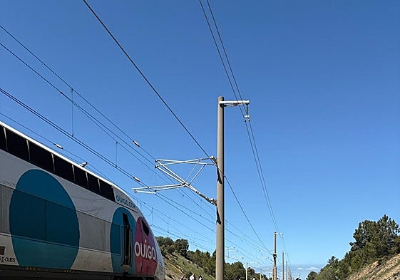 El tren completamente parado en la vía.