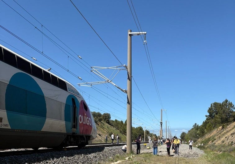 El tren completamente parado en la vía.