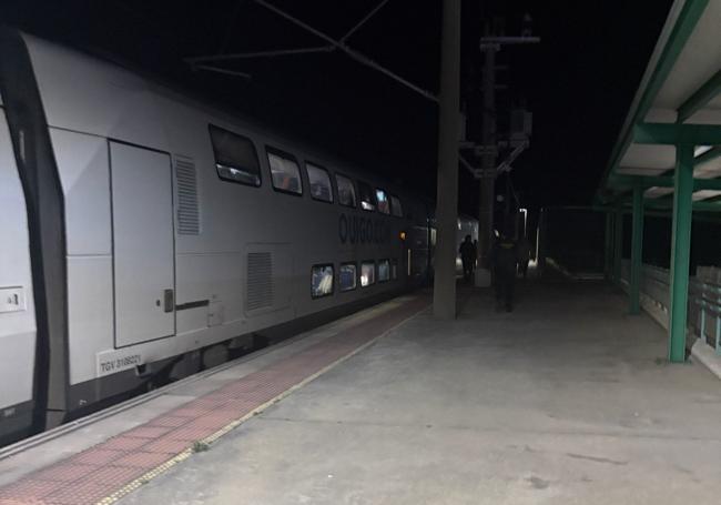 El tren ya parado en una de las estaciones