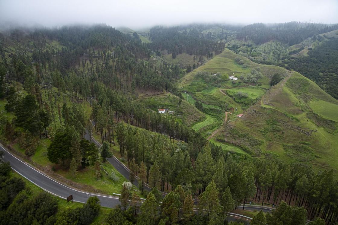 La primavera reverdece Gran Canaria