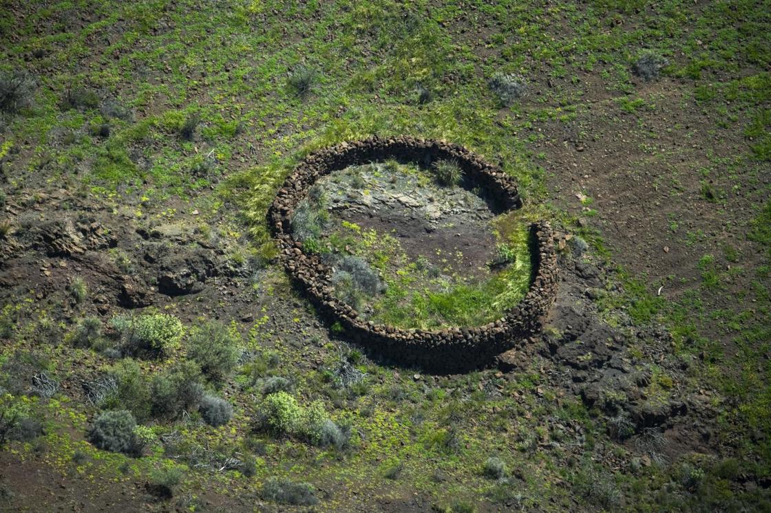 La primavera reverdece Gran Canaria