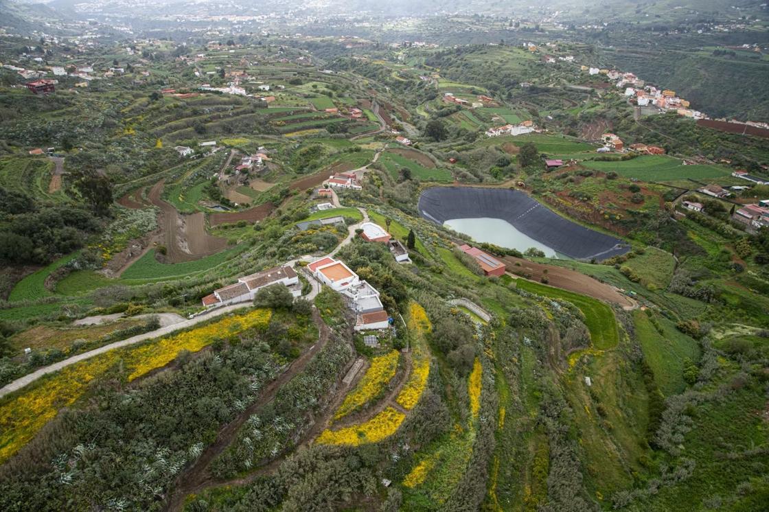 La primavera reverdece Gran Canaria