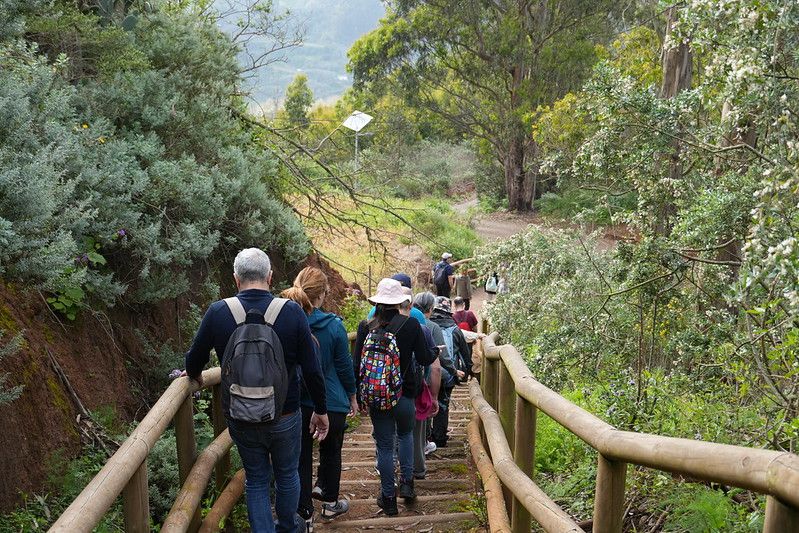 Ruta Etnográfica &#039;Quesos y pastores de Guía&#039;