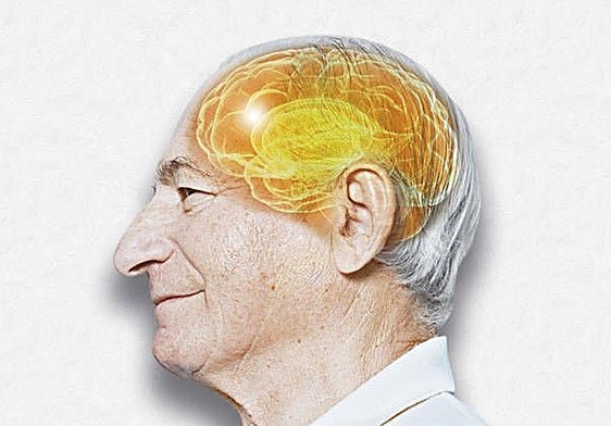 ¿Cómo proteger nuestro cerebro ante el deterioro?