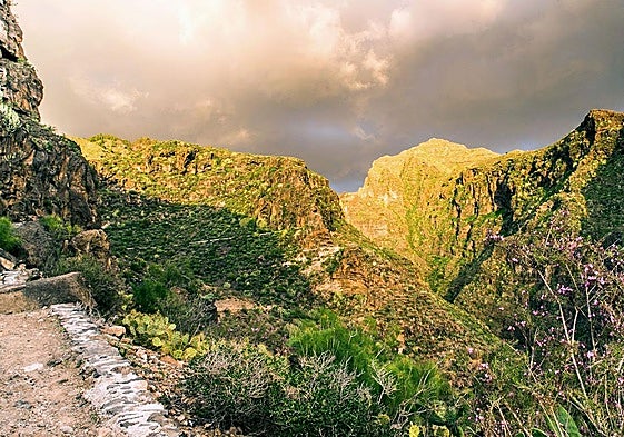 Herido un parapentista que cayó a un barranco