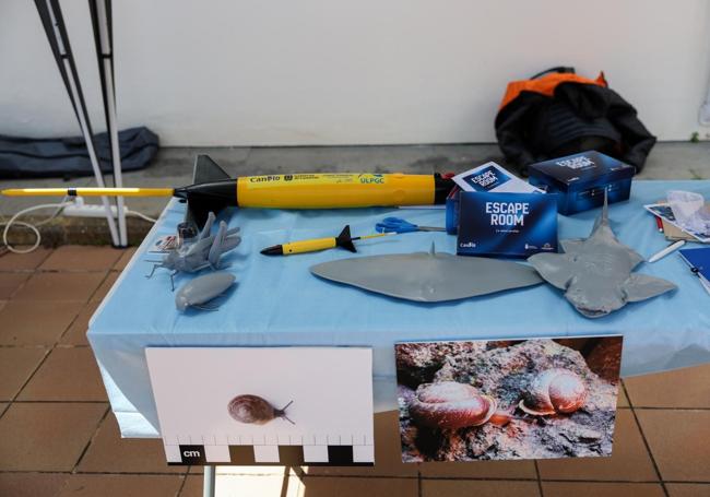 Réplica a menor escala del glider junto a otros materiales didácticos del proyecto CanBio.