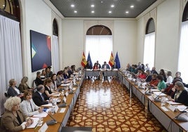 La Conferencia de Infancia culmina sin acuerdo, un «paso atrás» para Canarias en el reparto de menores