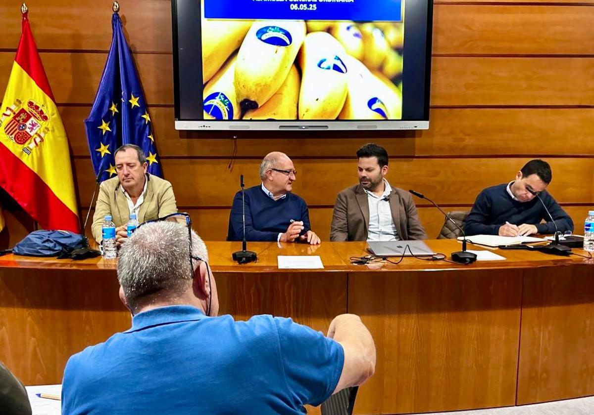 Rendón llama a la «cohesión del sector platanero» tras ser elegido presidente de Asprocan