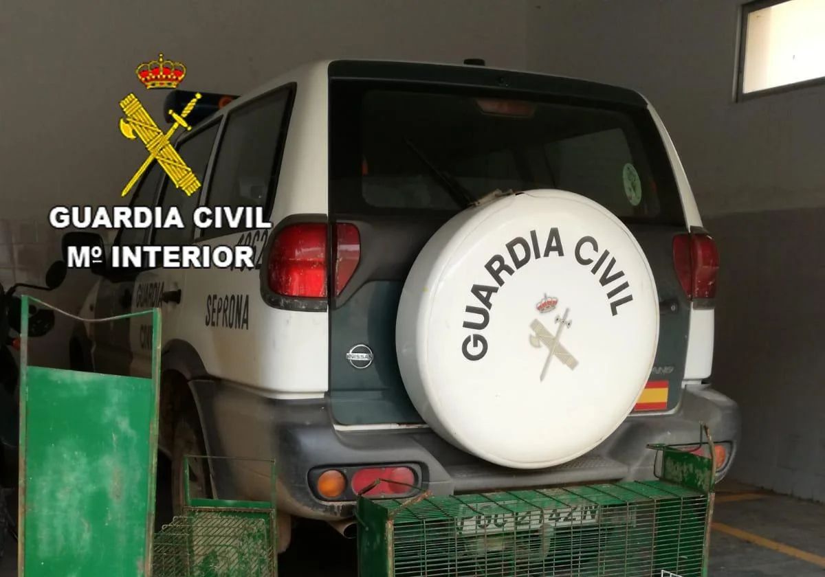 Operativo especial en Telde para combatir el abandono de perros de caza