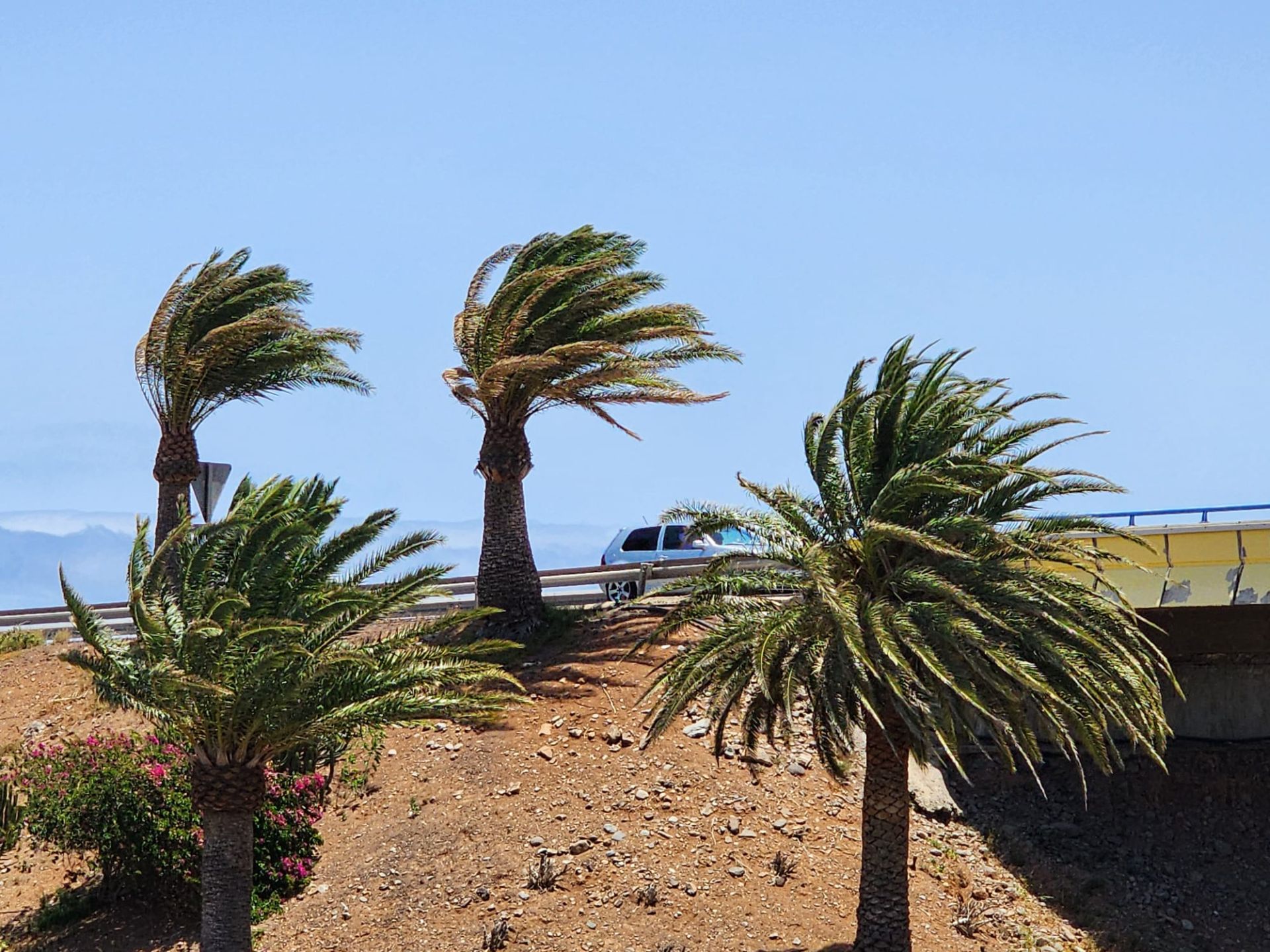 Rachas de viento y lluvia: Canarias espera temporal este fin de semana