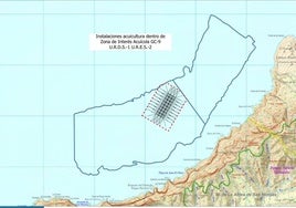Vista de la ubicación del proyecto dentro de la zona declarada de interés acuícola en la costa oeste de Gran Canaria.