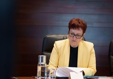 «Si se lesionan los derechos de los menores acogidos Canarias recurrirá al Constitucional»