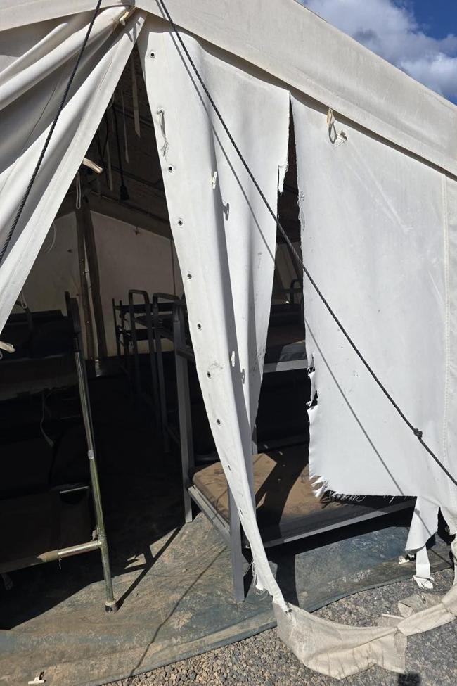 Estado de las carpas.