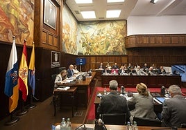 Vista de la primera sesión del Debate sobre el Estado de la Isla.