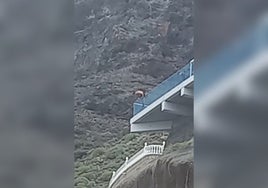 Momento en el que una persona hace el pino en uno de los bordes del Mirador de Los Gigantes.