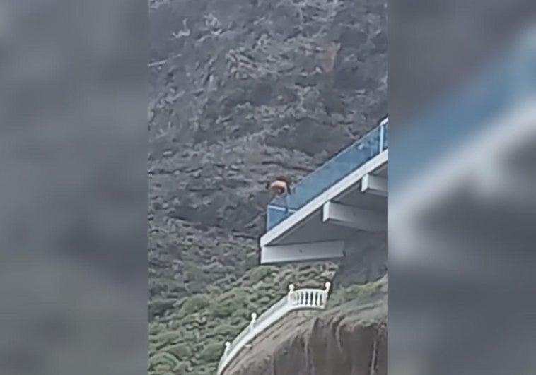 Momento en el que una persona hace el pino en uno de los bordes del Mirador de Los Gigantes.