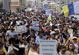 Miles de personas tomaron las calles de Canarias el 20 de abril del año pasado. Este domingo se espera el mismo espíritu en las islas y siete ciudades de la Península, además de Berlín.