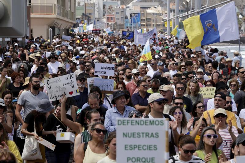 Miles de personas tomaron las calles de Canarias el 20 de abril del año pasado. Este domingo se espera el mismo espíritu en las islas y siete ciudades de la Península, además de Berlín.