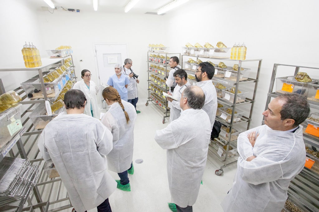 El animalario del campus de Anchieta, en una foto de archivo.