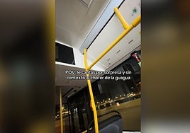 Un chófer canario emociona las redes tras reaccionar a la canción de un pasajero.