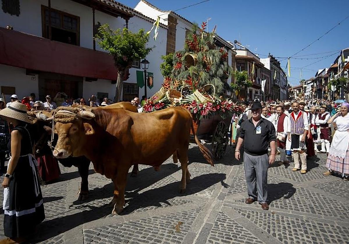 Una de las carretas desfilaron en años anteriores en la villa mariana.