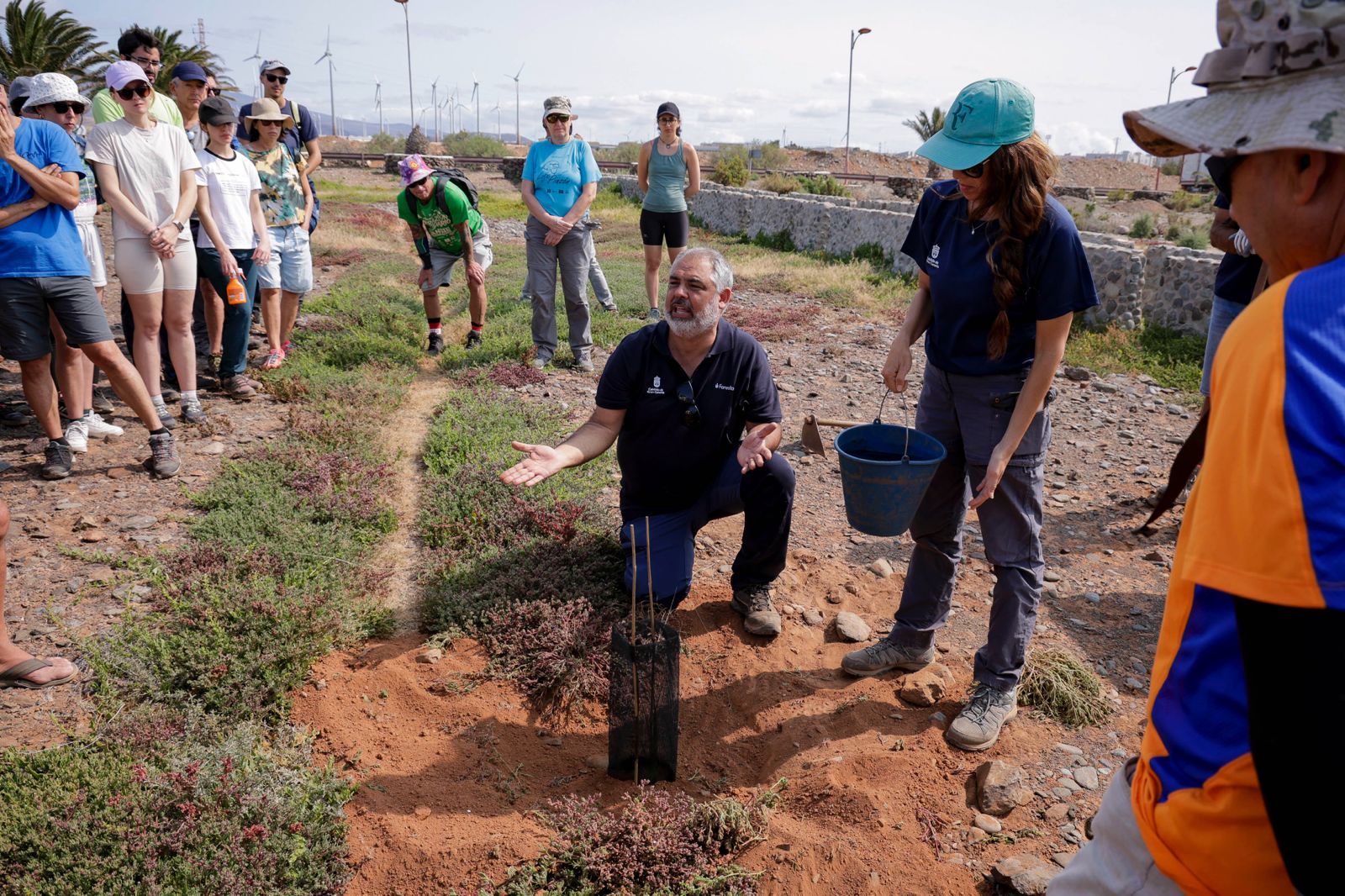 Jornada verde: imágenes de la reforestación con voluntarios en Gran Canaria