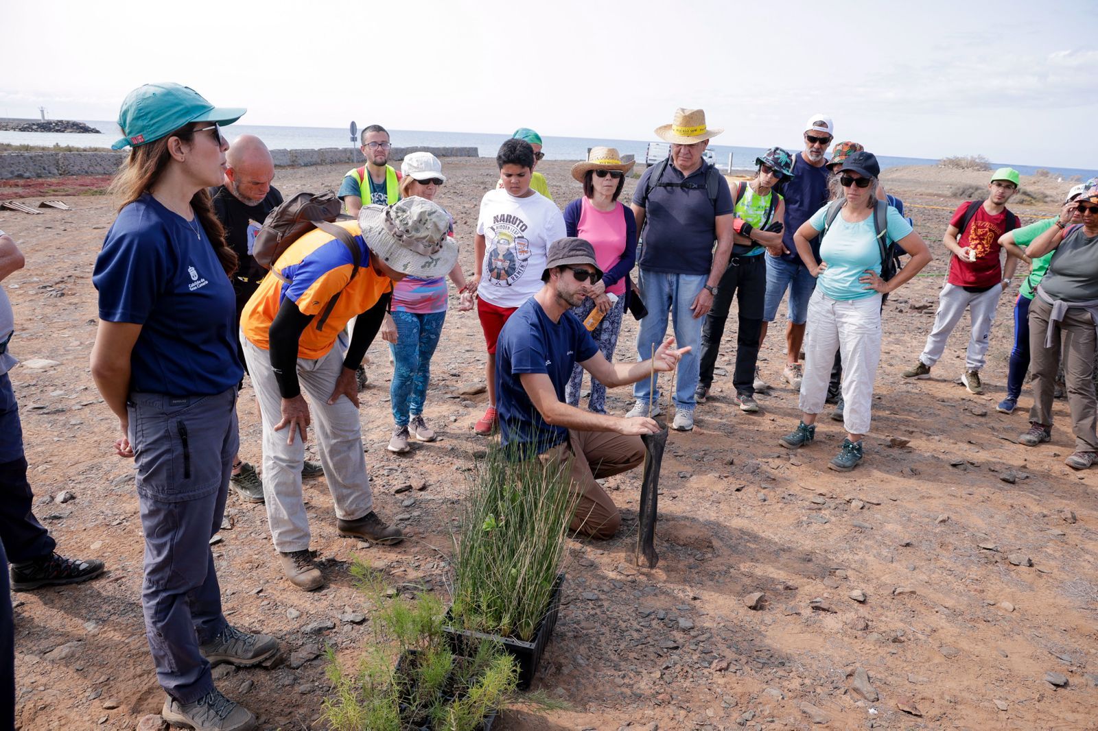 Jornada verde: imágenes de la reforestación con voluntarios en Gran Canaria