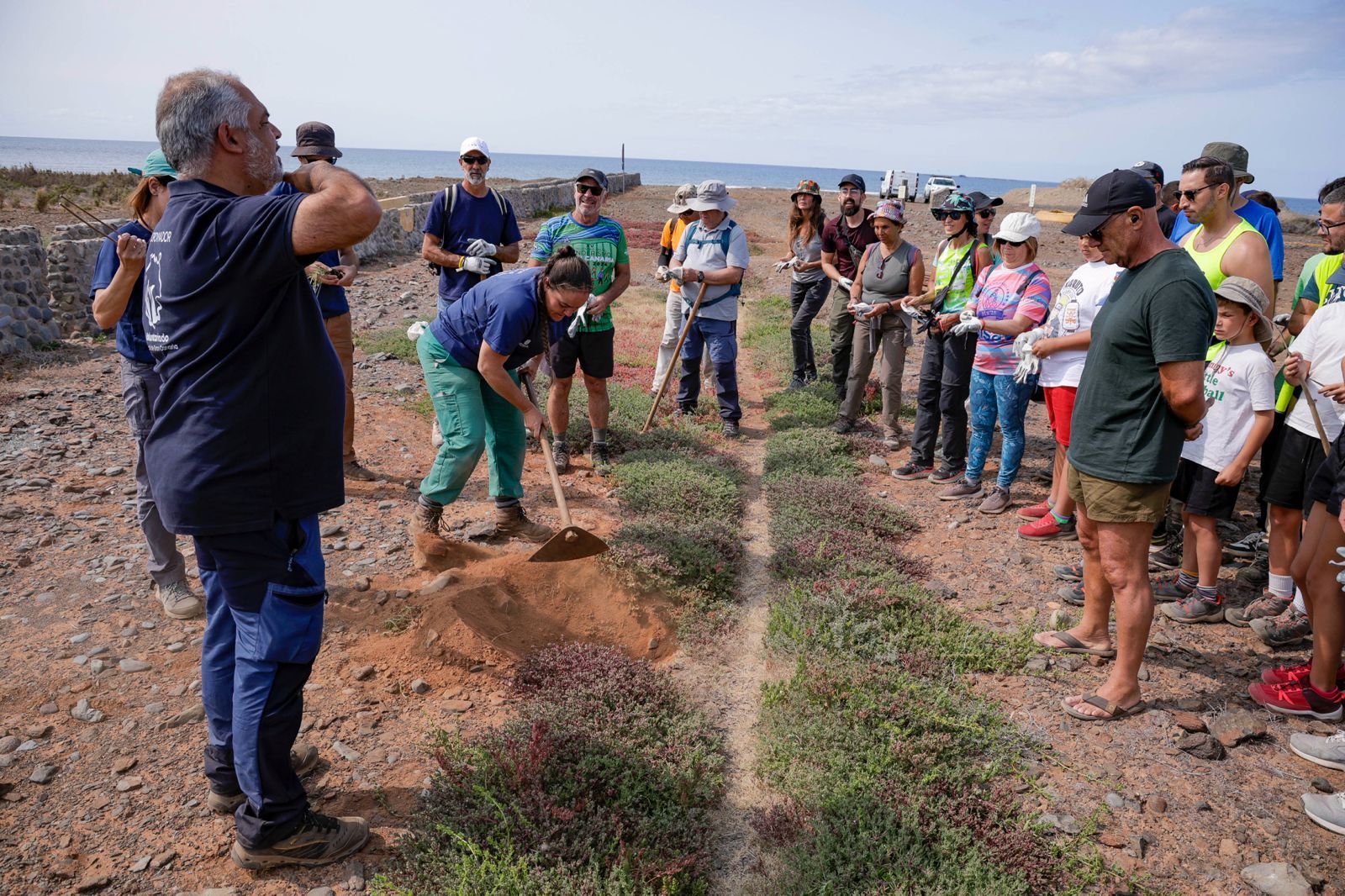 Jornada verde: imágenes de la reforestación con voluntarios en Gran Canaria