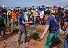 Jornada verde: imágenes de la reforestación con voluntarios en Gran Canaria