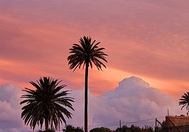 Canarias se despide del fin de semana con nubes y posibles lluvias débiles en el norte
