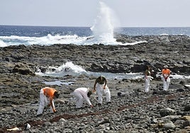 Áreas Marinas Protegidas en Canarias