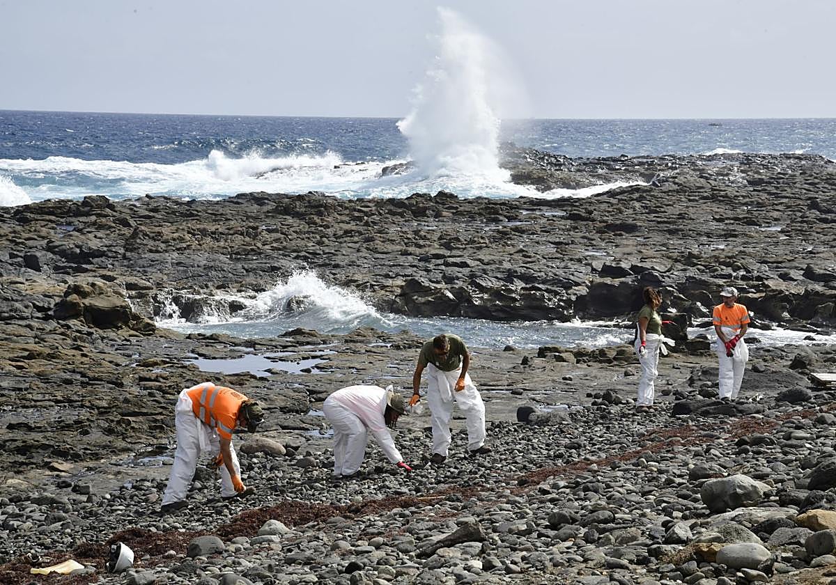 Áreas Marinas Protegidas en Canarias
