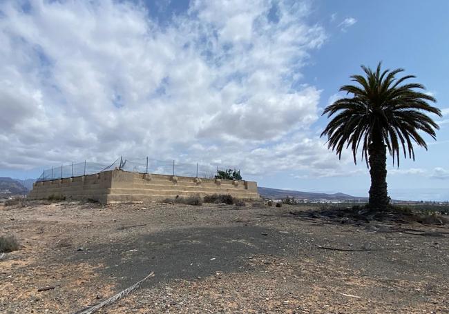 En torno a este estanque se ha previsto una nueva zona verde. Abarcará también la palmera.
