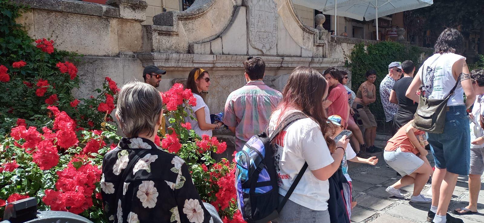 Granada se suma a la protesta de Canarias tiene un límite