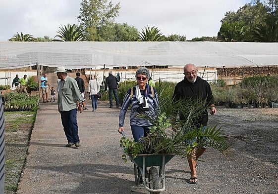 Reparto de frutales de la campaña pasada en el vivero de la granja insular de Pozo Negro, en el municipio de Antigua.
