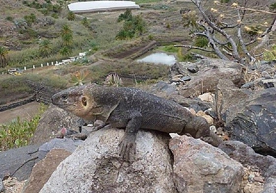 La ética más allá del 'me gusta'