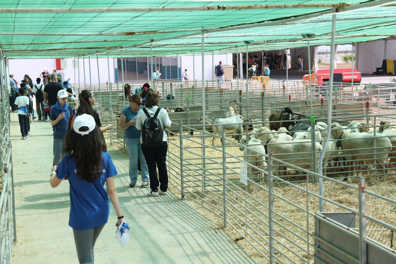 El sector primario se abre a los niños