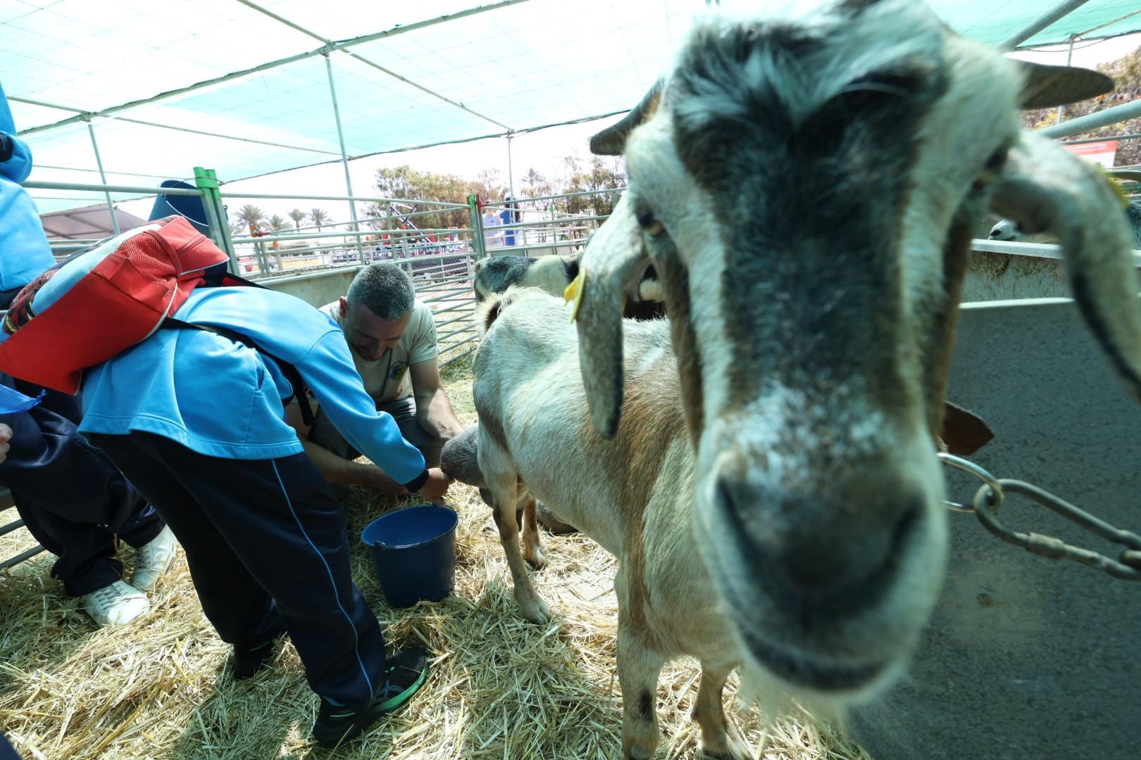 El sector primario se abre a los niños