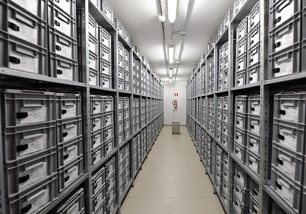 Almacén de los fondos del Museo y Parque Arqueológico Cueva Pintada de Gáldar.