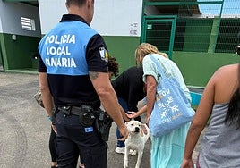 Participantes en la actividad.