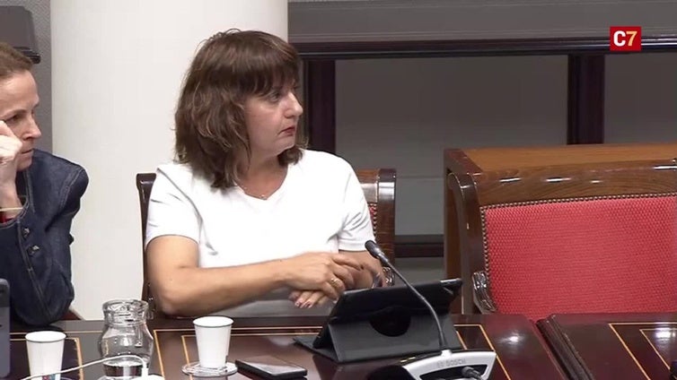 Desmayo de la consejera Candelaria Delgado en plena comisión