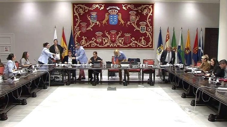 La consejera de Bienestar Social del Gobierno canario, Candelaria Delgado, tuvo que ser atendida en medio de la comisión parlamentaria.