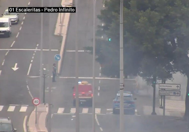 Arde una palmera en Escaleritas, Las Palmas de Gran Canaria,
