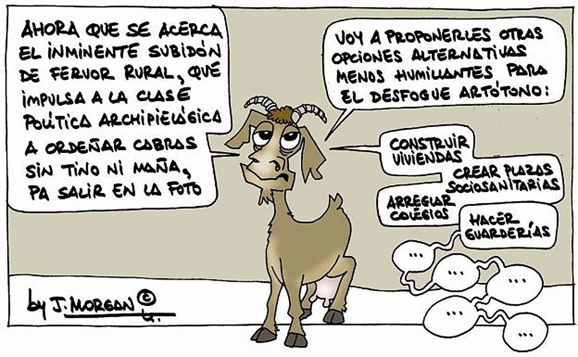 La viñeta de Morgan de este miércoles 28 de mayo