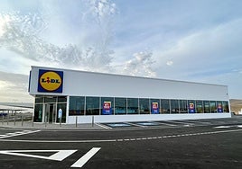 Lidl realiza compras récord de producto canario por valor de 100 millones de euros