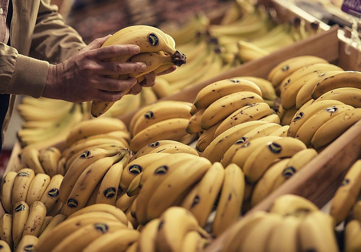 Gracias a más de 16,2 millones de hogares por confiarcada día en Plátano de Canarias